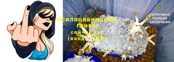 тгк Алексеевка