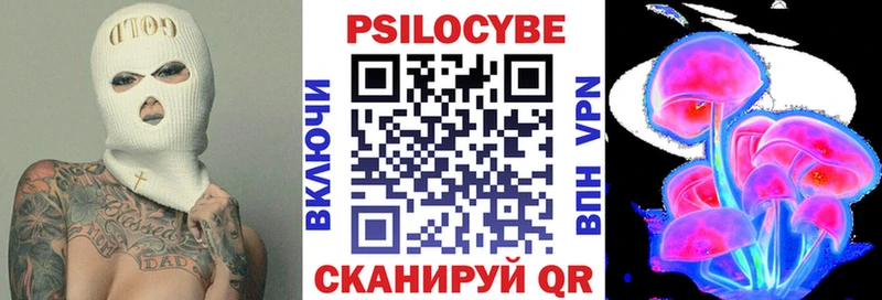 Галлюциногенные грибы прущие грибы  Лахденпохья 